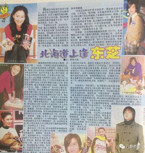 娱乐圈吃瓜爆料小说推荐,揭秘幕后真相，吃瓜群众必读